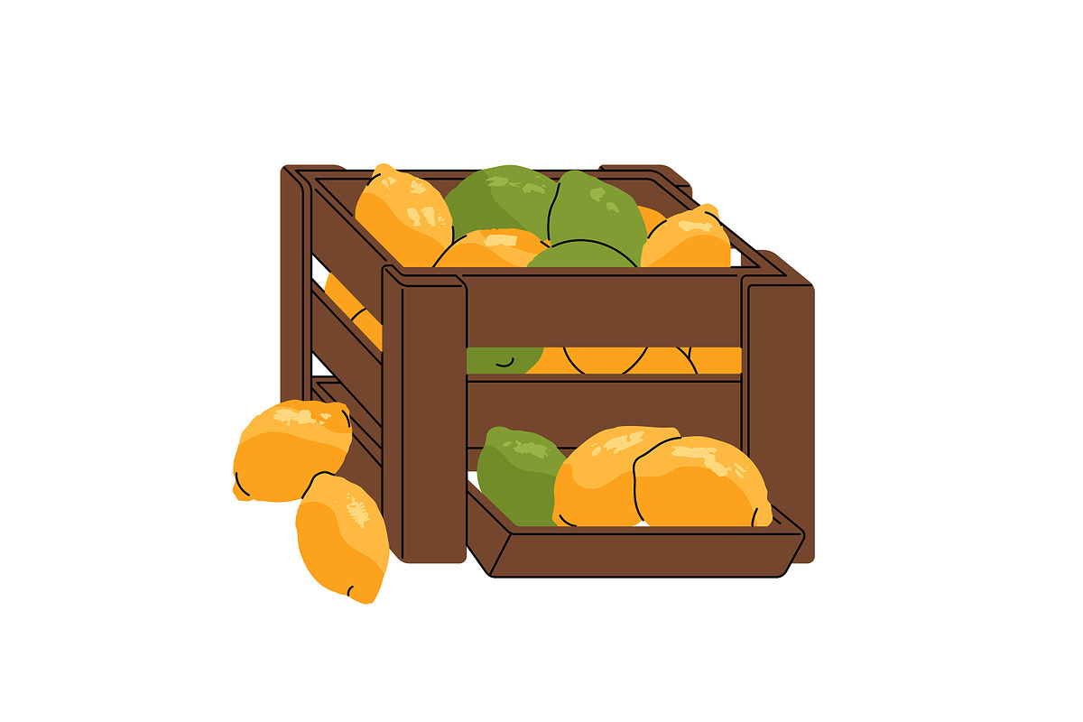 Fruit & vegetables boxes set, banner, a Food Illustration by PaperTrident (Photo 7 of 13)