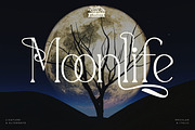 Moonlife - Serif Typeface Font, a Serif Font by Rishsketch (Thumbnail 1 of 15)