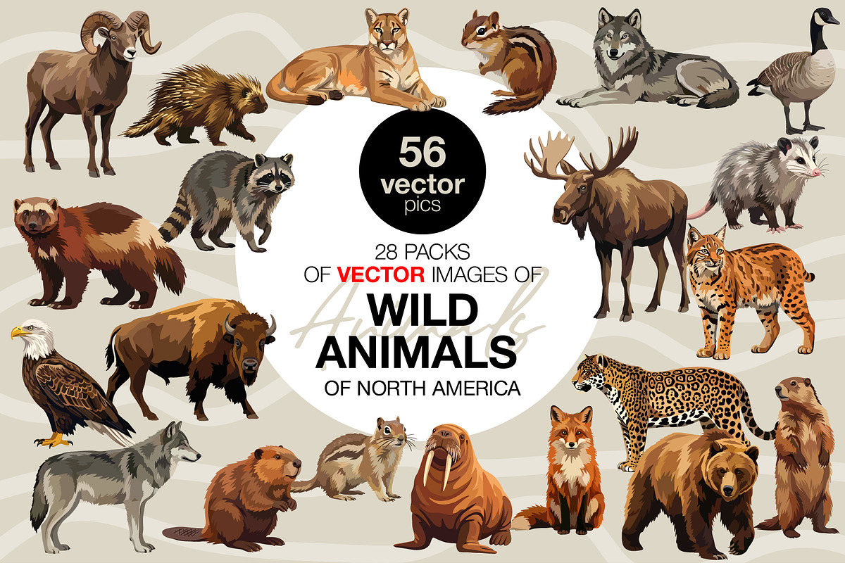 Animals of North America Vector Set, an Animal Illustration by Katerina Peres (Photo 1 of 8)