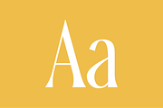 Ophelia - Modern Serif Font, a Serif Font by The Peach Shop (Thumbnail 8 of 16)