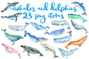 Whale watercolor big set, an Animal Illustration by IvanFet (Thumbnail 1 of 14)