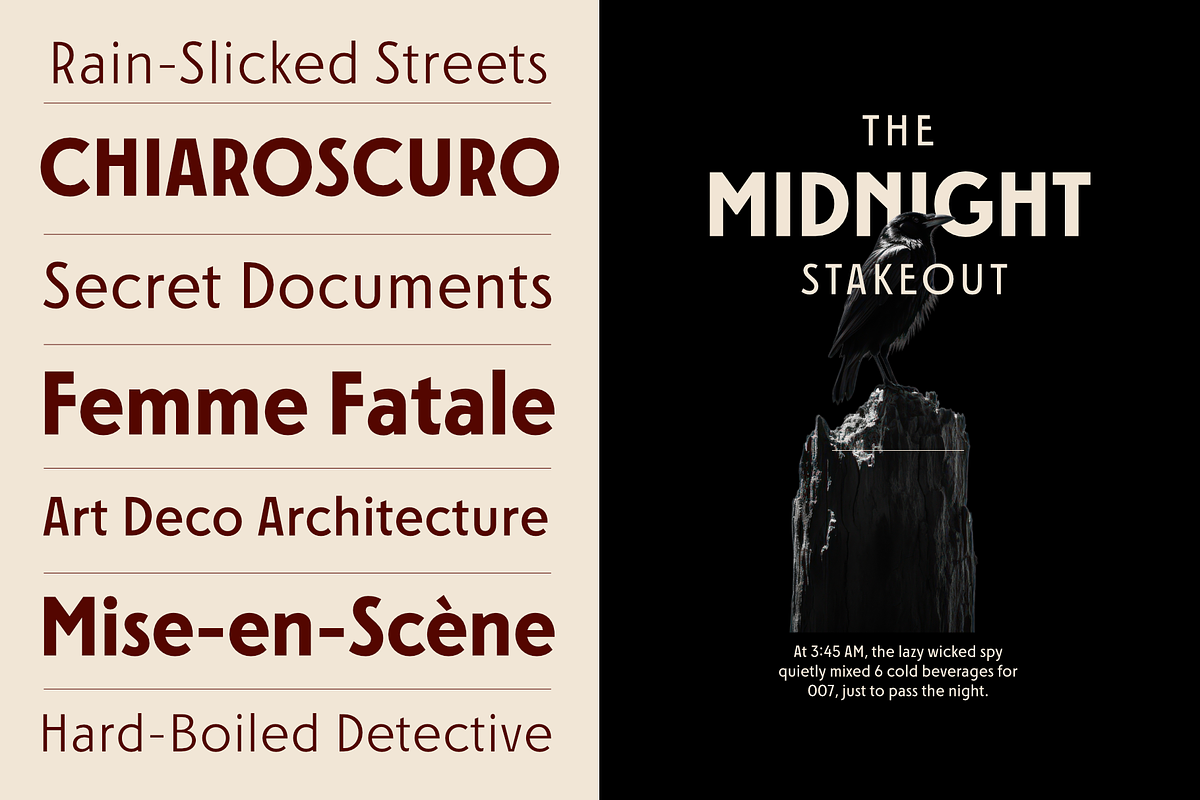 FERNOA - Dramatic Sans Serif Family, a Sans Serif Font by Nasir Udin (Photo 4 of 14)