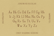 Junewood by Cindy Roaming Designs, a Serif Font by cindyroamingdesigns (Thumbnail 2 of 8)