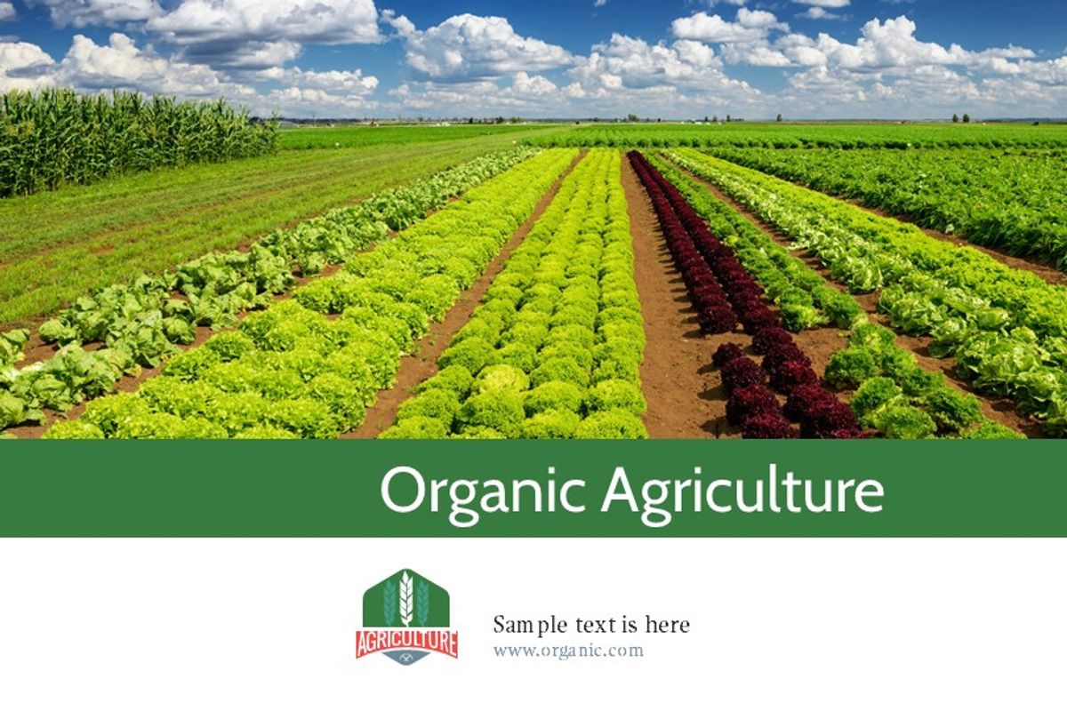 Farmers Market PowerPoint Template, a Presentation Template by Kathy Green Design (Photo 3 of 5)