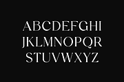 Angular Flow Serif Display Font, a Serif Font by UICreative (Thumbnail 6 of 13)