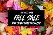Bold Vision, a Script Font by Greg Nicholls (Thumbnail 4 of 6)