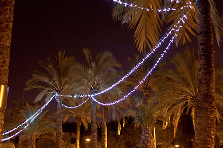 Park at night