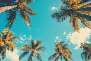 Vintage style view of blue sky, a Photo by Pavel_design