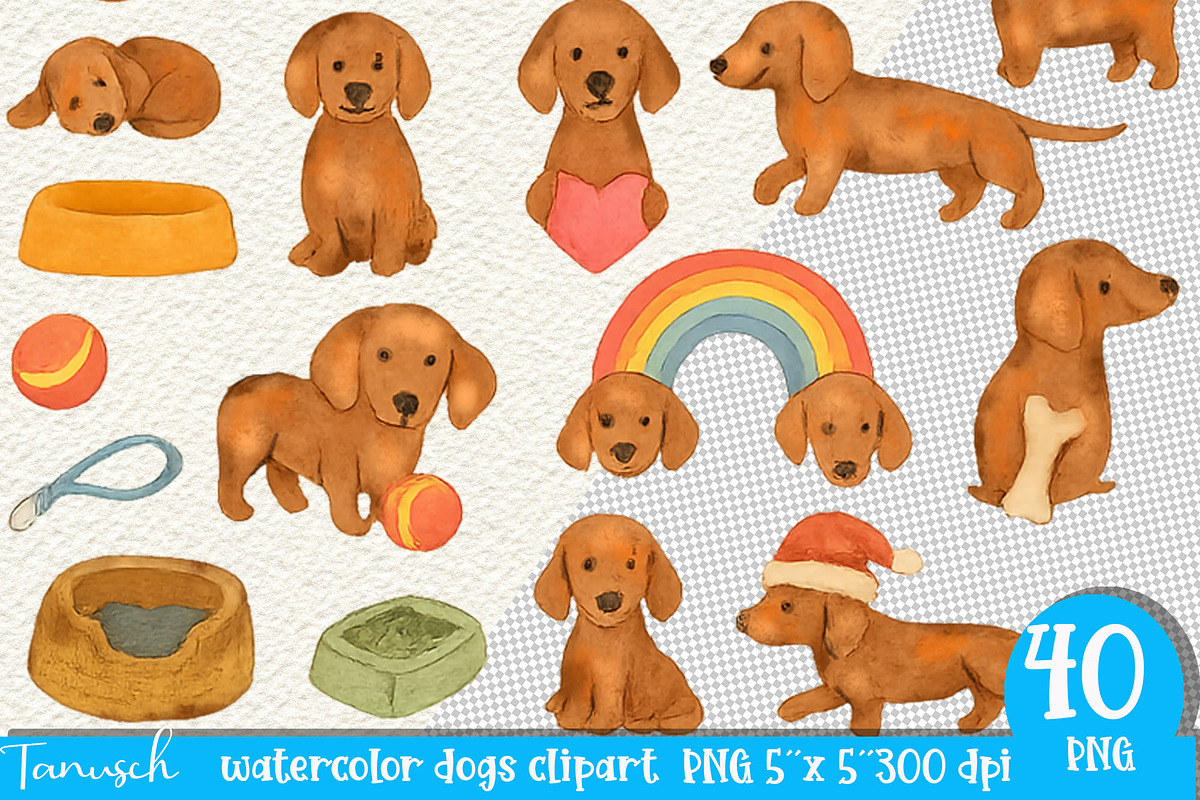 Watercolor Dog - Dachshund CLIPART, an Animal Illustration by TanuschArts (Photo 2 of 6)