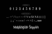 Laqenut - Serif Display Font, a Serif Font by twinstd (Thumbnail 9 of 10)