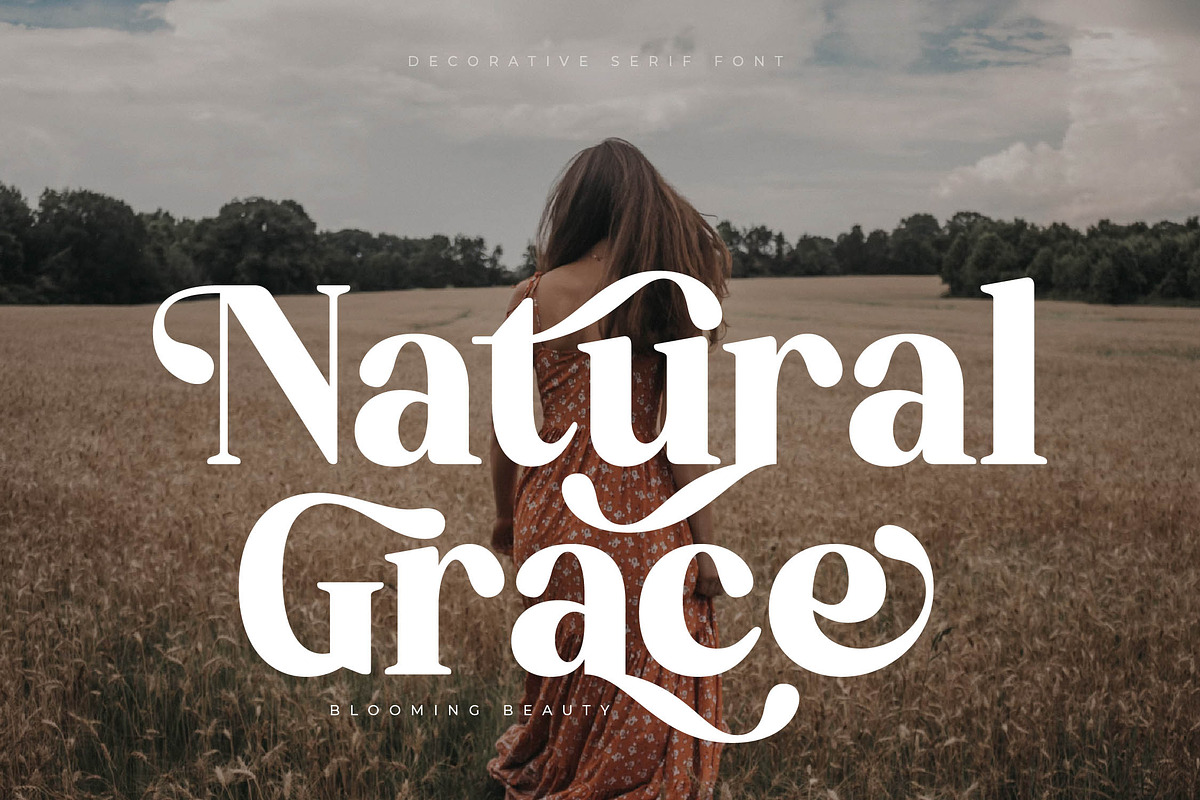 Bredga Decorative Serif Font, a Serif Font by Letterena Studios (Photo 8 of 15)