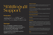 Briliond - Modern Serif, a Serif Font by Ardyanatypes (Thumbnail 11 of 12)