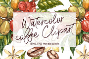 Coffee in botanical style, a Food Illustration by Ann Astro (Thumbnail 1 of 9)