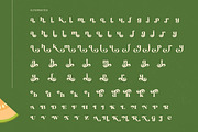 Jungle Melon Groovy Display Serif, a Serif Font by timelesstype.co (Thumbnail 19 of 20)