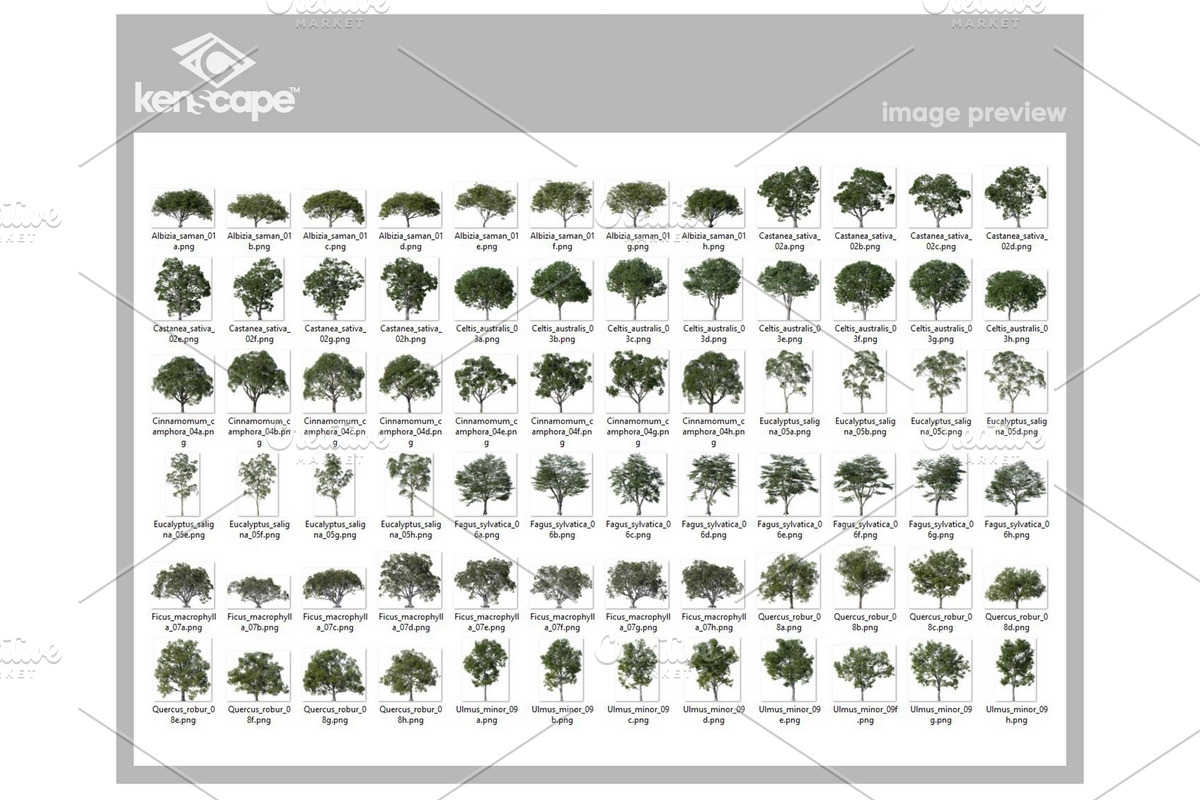 72 Summer Trees Photo Overlays, a Nature Photo by KenScape (Photo 3 of 3)