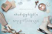 Polar Bear, a Font by Font Bundles (Thumbnail 3 of 7)