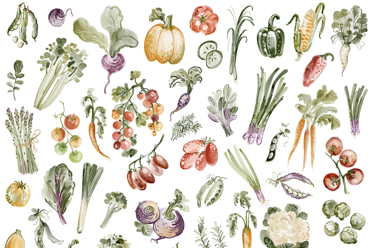 Hand-Painted Vegetable Clipart, a Food Illustration by LenArt (Photo 6 of 15)