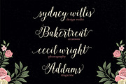 Isabella Script, a Script Font by Seniors (Thumbnail 2 of 7)
