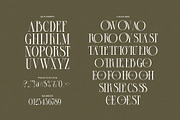 Brolin A Modern Serif Font, a Serif Font by Alfinart (Thumbnail 8 of 8)
