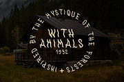 WithAnimals Font, a Handwritten Font by Towards The North (Thumbnail 6 of 8)