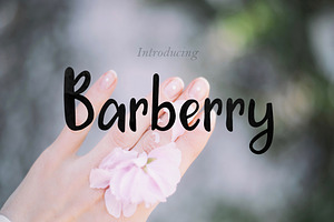 Barberry Font + Extras