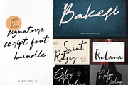 Signature Script Bundle, a Script Font by Craft Supply Co. (Thumbnail 1 of 11)