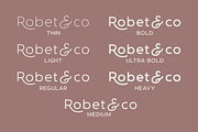 DelRay - Sans Serif Ligature Typefac, a Serif Font by Surplus Type Co (Thumbnail 12 of 13)