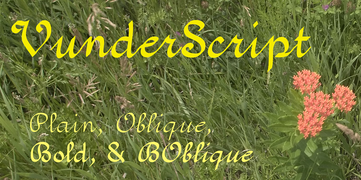 VunderScript, a Script Font by Ingrimayne Type (Photo 1 of 9)