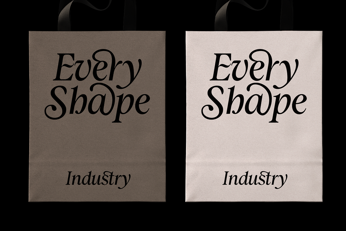 Zachariah Calligraphic Italic Serif, a Serif Font by Viswell (Photo 7 of 10)