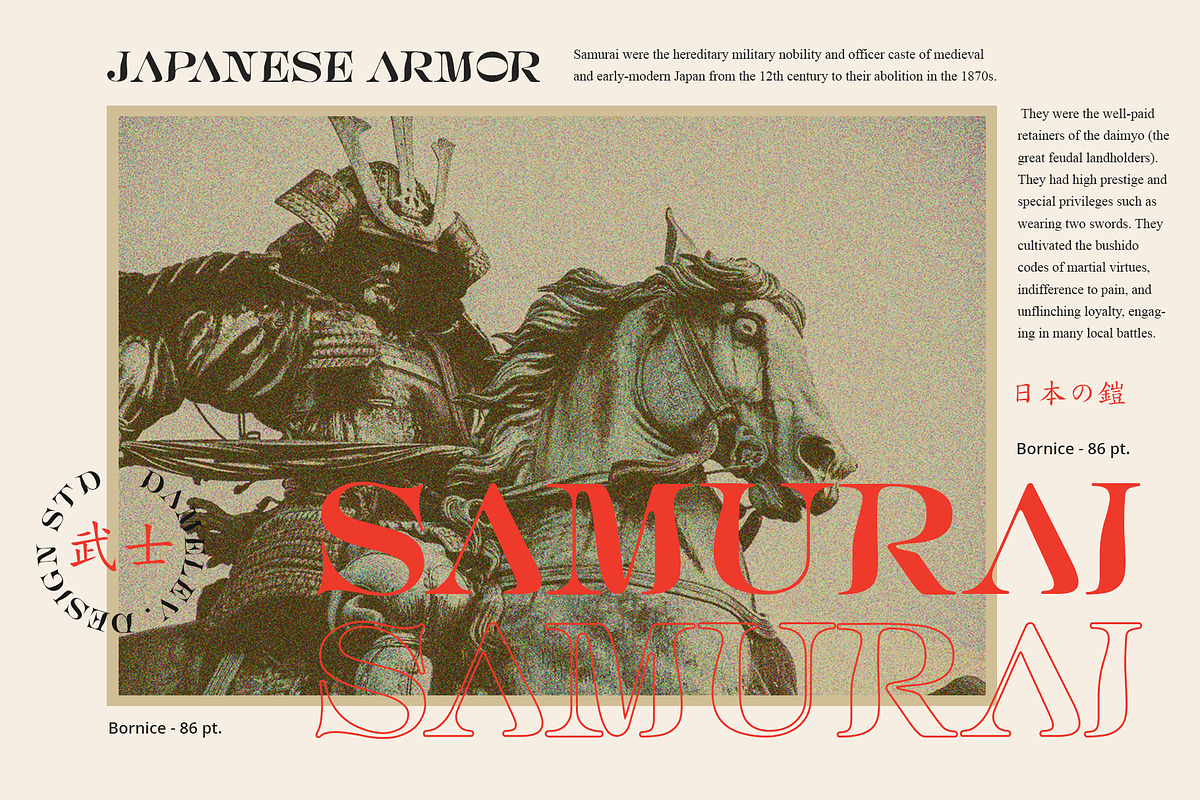 Bornice Modern Serif, a Serif Font by Damelev (Photo 9 of 13)