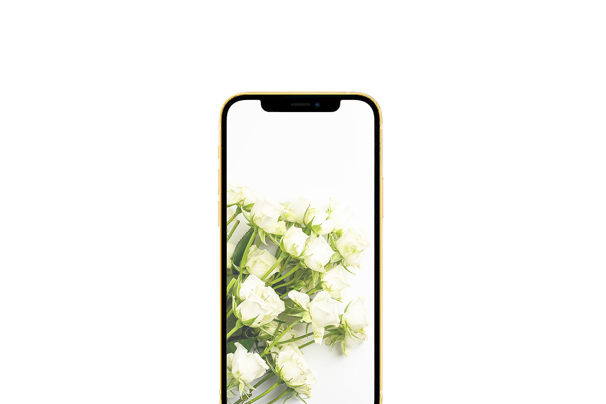 ALL 3D iPHONE MOCK-UP BUNDLE VOL-1, an iPhone Mockup by Graphicsworld125 (Photo 24 of 62)