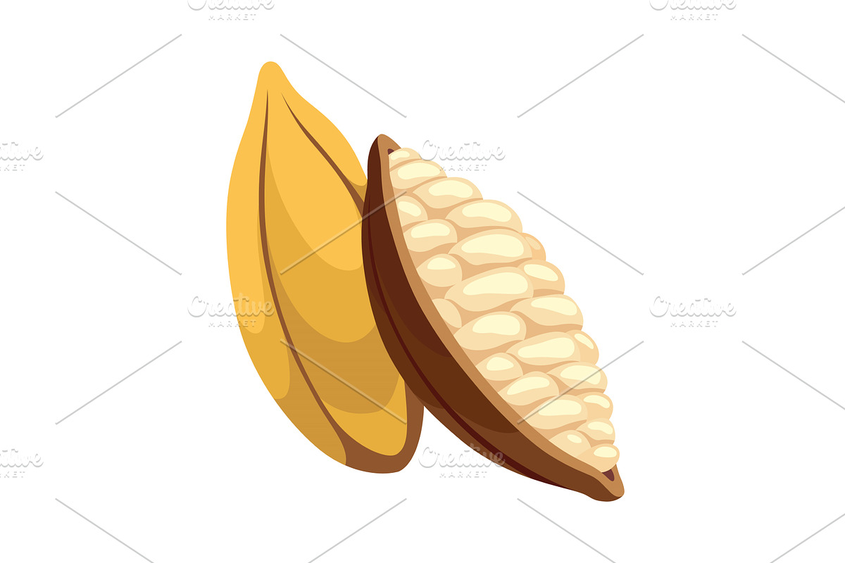 Realistic chocolate, white chocolate, a Food Illustration by the8monkey