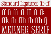 Meliner, a Serif Font by Dora Typefoundry (Thumbnail 8 of 12)