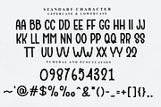 Banner, a Script Font by FreshTypeINK (Thumbnail 4 of 7)