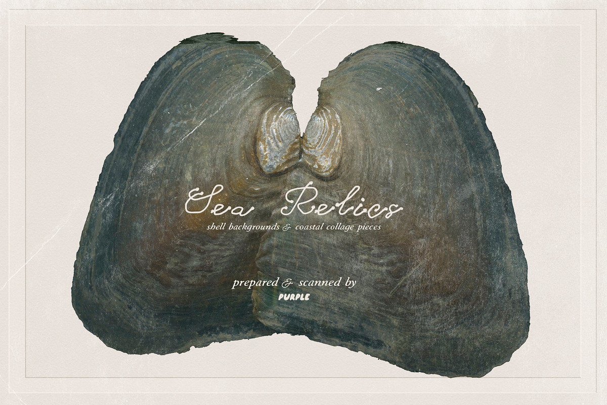 Sea Relics: Objects & Backgrounds, an Object Graphic by Purple (Photo 13 of 14)