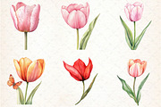 Watercolor Tulip Clipart, an Illustration by Libby Wishes (Thumbnail 2 of 5)