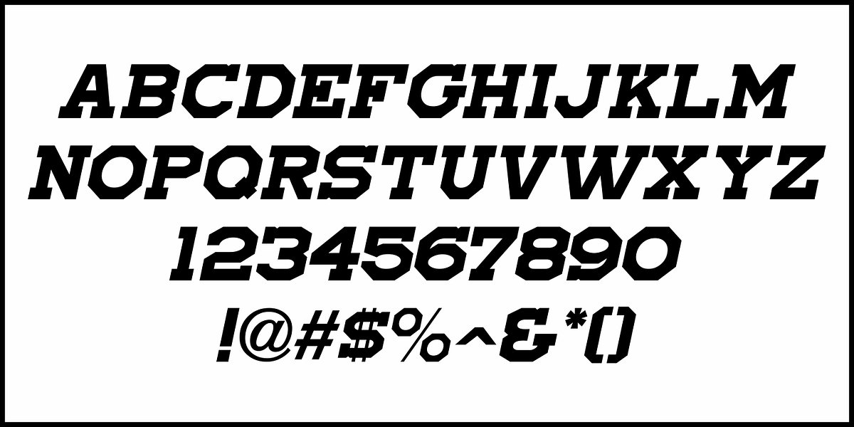 Local Druggist JNL, a Slab Serif Font by Jeff Levine Fonts (Photo 5 of 5)