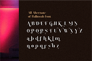 Rallinsah Serif Font, a Serif Font by Typegoals Studio (Thumbnail 7 of 9)