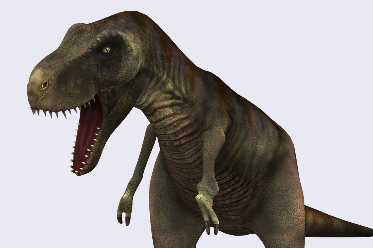 3DRT - Dinosaurs - Tyranosaurus, an Animal 3D Model by 3DRT.com (Photo 1 of 3)