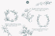 vintage clipart ink illustration set, a Decorative Illustration by Patishop Art (Thumbnail 4 of 9)