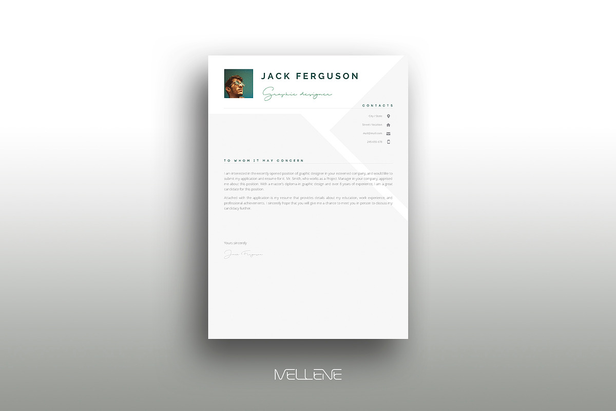 CV / Resume template for MS Word, a Resume Template by Mellene Templates (Photo 2 of 2)