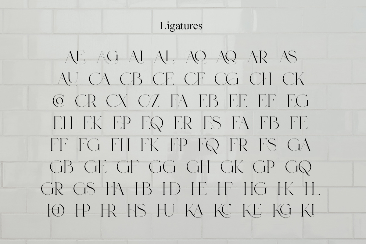 Roylles | Ligature Stylish, a Serif Font by Muntab_Art (Photo 11 of 13)