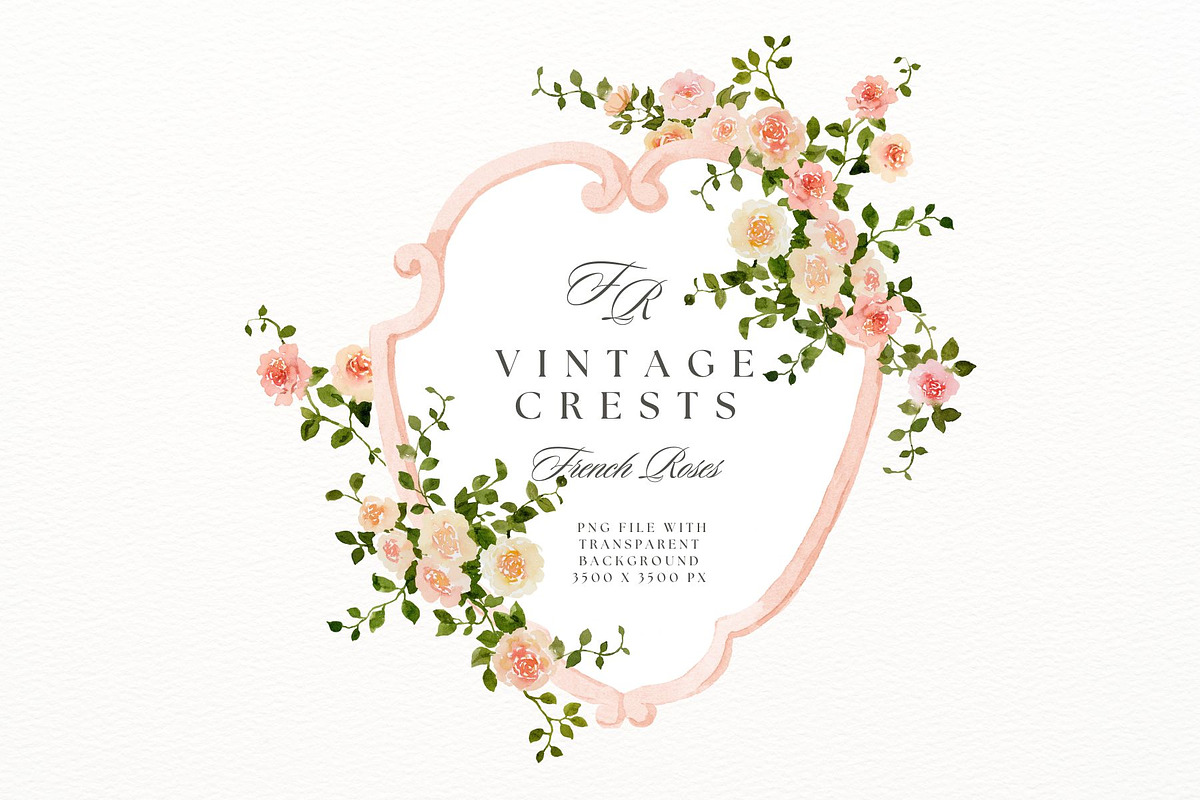 Crests and monograms with roses, a Decorative Illustration by AnnelyBlooms (Photo 2 of 9)