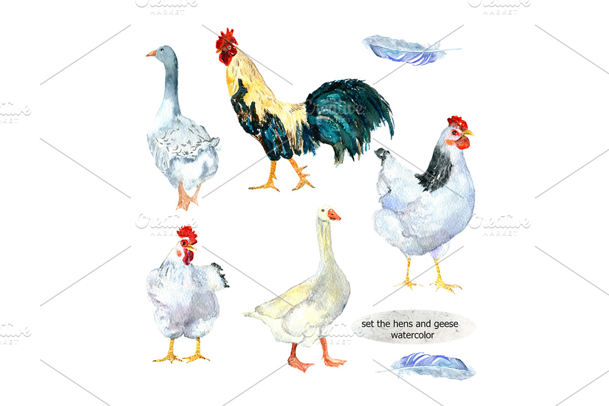 chickens and geese watercolor, an Animal Illustration by JuliaFast (Photo 1 of 3)