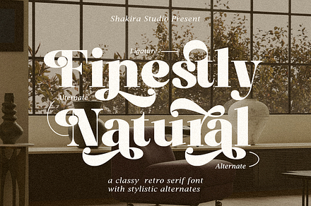 Finestly Natural - Retro Serif, a Serif Font by Shakira Studio