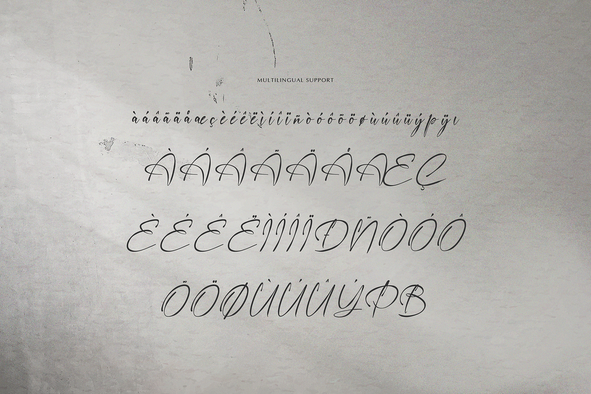 The Dearling | Handwritten Script, a Script Font by gracetype_studio (Photo 12 of 12)