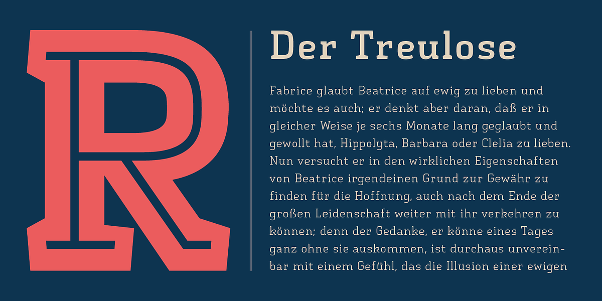 Vivala Slab, a Slab Serif Font by VivalaType (Photo 6 of 9)