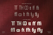 Sofina - Modern Sans Serif Font, a Sans Serif Font by Flawless And Co (Thumbnail 10 of 10)