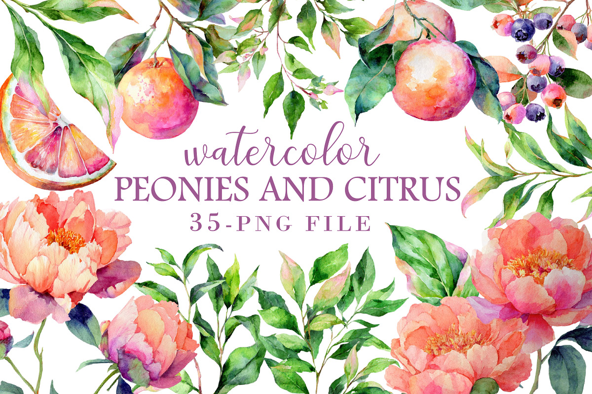Watercolor Peonies and Citrus Clipar, an Illustration by Libby Wishes (Photo 1 of 5)