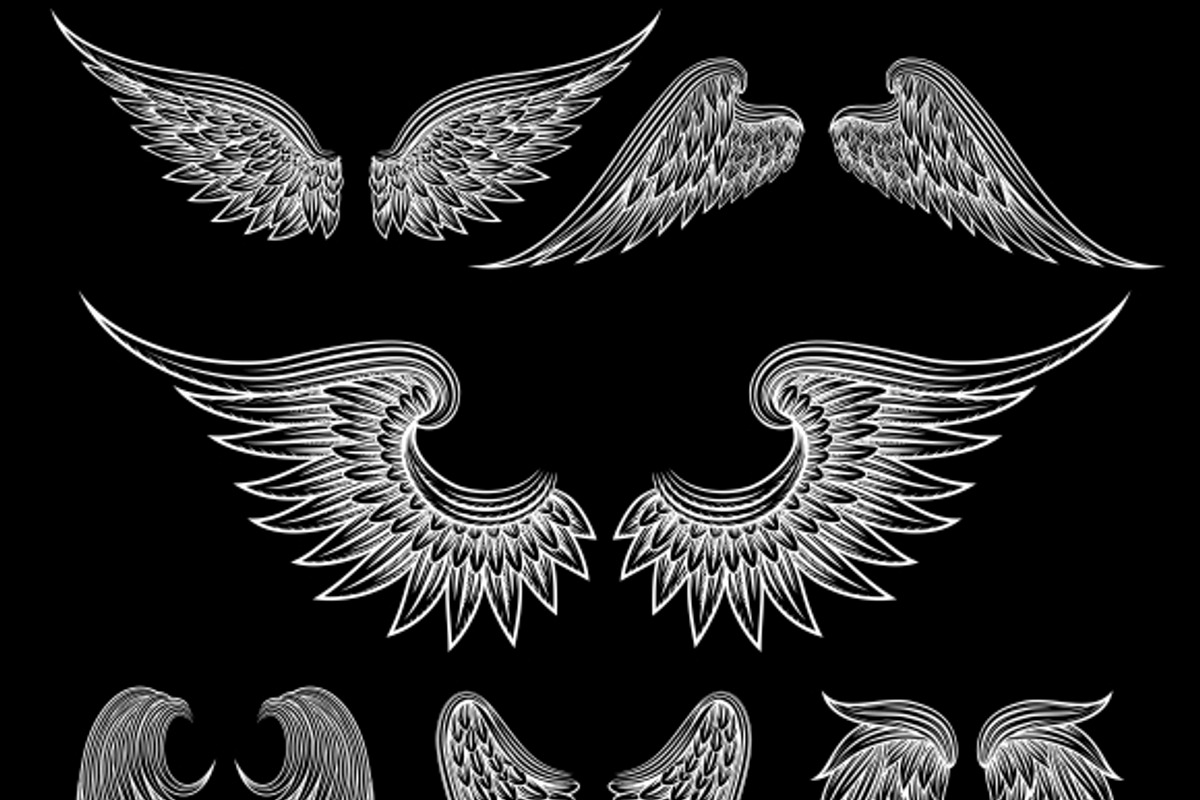Vector wings, a Graphic by Microvector